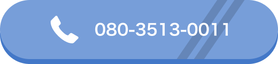 080-3513-0011